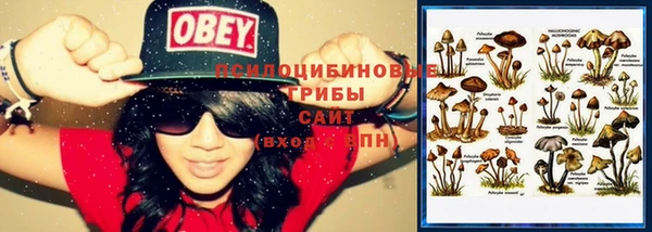 эйфоретик Лабытнанги