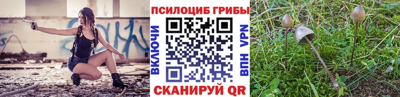 Псилоцибиновые грибы Cubensis  Магадан 