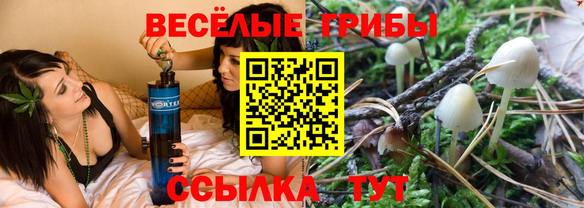 закладка  Галлюциногенные грибы MAGIC MUSHROOMS  Вход с VPN  Галлюциногенные грибы прущие грибы  Магадан 