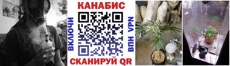 Конопля VHQ  Магадан 